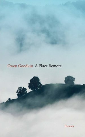 Cover of A PLACE REMOTE: STORIES by Gwen Goodkin
